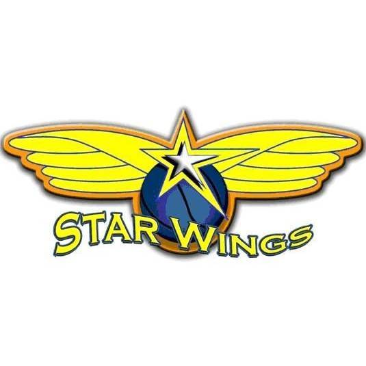 StarwingsBasketRegioBasel